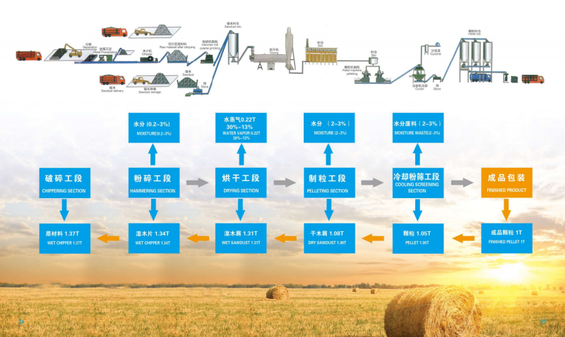 K1体育宣传册_13 - 副本.png